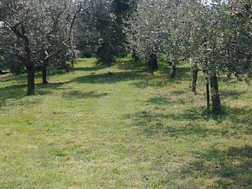 Agriturismo Corte Galvani Negrar Exterior foto
